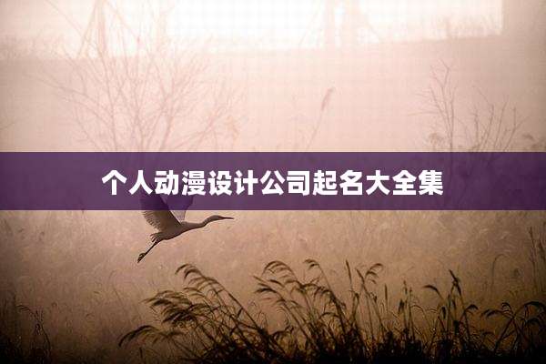 个人动漫设计公司起名大全集
