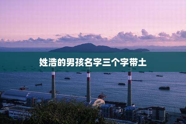 姓浩的男孩名字三个字带土