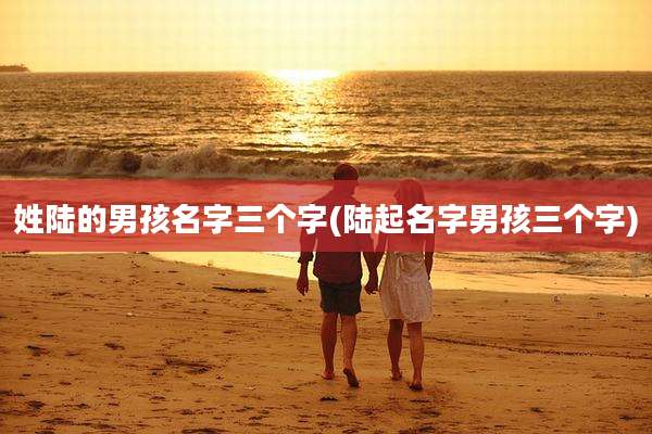 姓陆的男孩名字三个字(陆起名字男孩三个字)