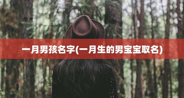一月男孩名字(一月生的男宝宝取名)