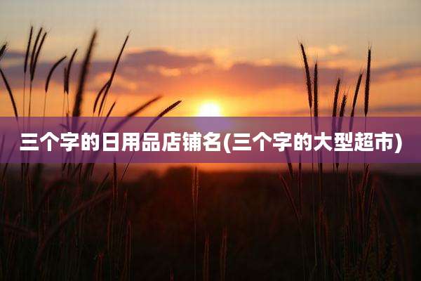 三个字的日用品店铺名(三个字的大型超市)