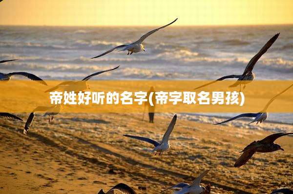 帝姓好听的名字(帝字取名男孩)