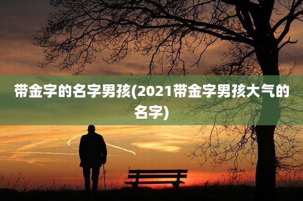 带金字的名字男孩(2021带金字男孩大气的名字)