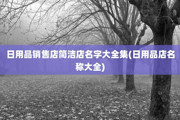 日用品销售店简洁店名字大全集(日用品店名称大全)