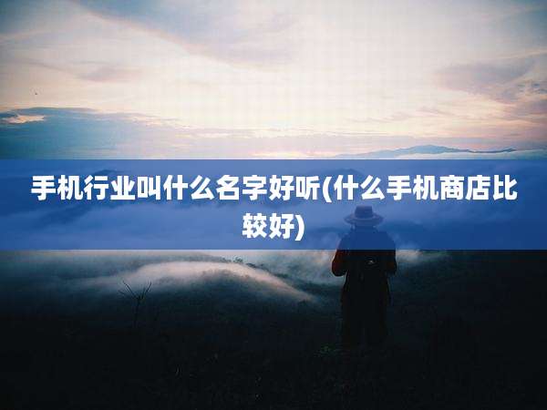 手机行业叫什么名字好听(什么手机商店比较好)