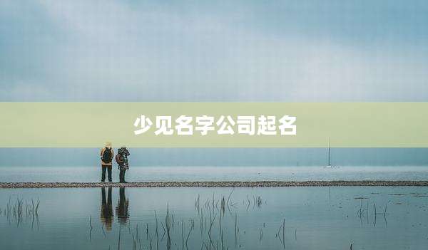 少见名字公司起名