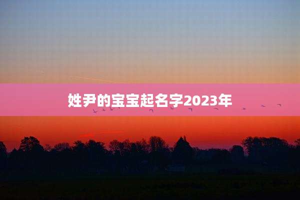 姓尹的宝宝起名字2023年