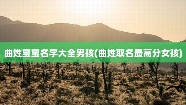 曲姓宝宝名字大全男孩(曲姓取名最高分女孩)
