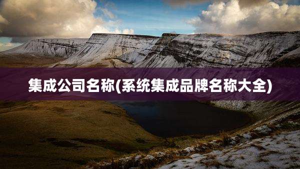 集成公司名称(系统集成品牌名称大全)