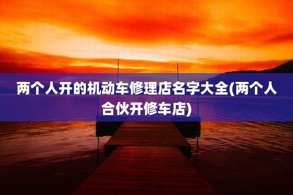 两个人开的机动车修理店名字大全(两个人合伙开修车店)