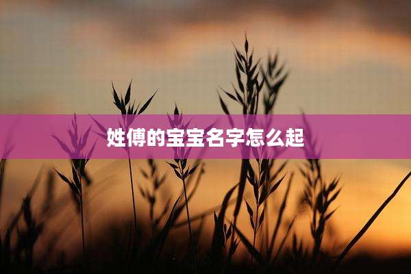 姓傅的宝宝名字怎么起