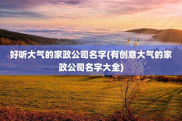 好听大气的家政公司名字(有创意大气的家政公司名字大全)