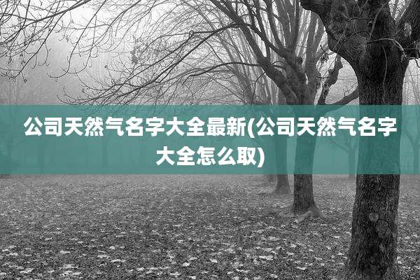 公司天然气名字大全最新(公司天然气名字大全怎么取)