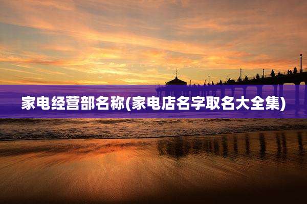 家电经营部名称(家电店名字取名大全集)