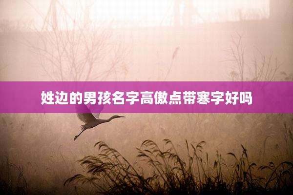 姓边的男孩名字高傲点带寒字好吗
