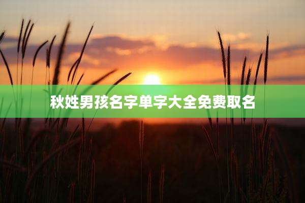 秋姓男孩名字单字大全免费取名