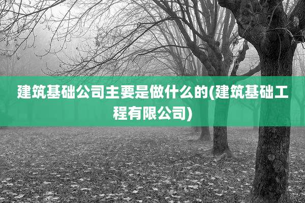 建筑基础公司主要是做什么的(建筑基础工程有限公司)