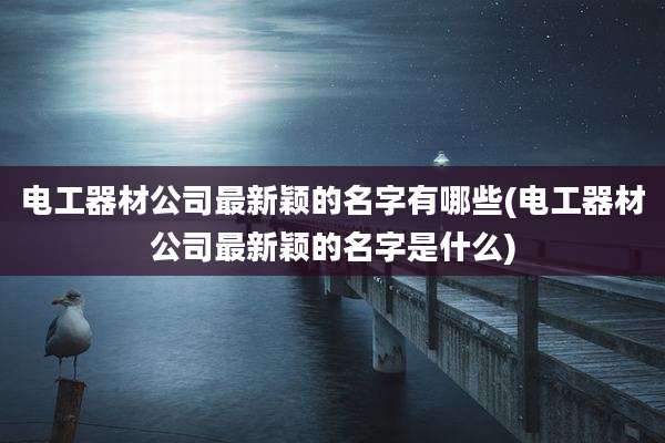 电工器材公司最新颖的名字有哪些(电工器材公司最新颖的名字是什么)