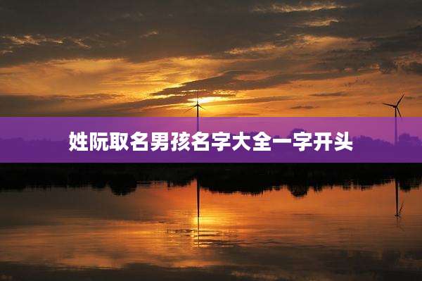 姓阮取名男孩名字大全一字开头