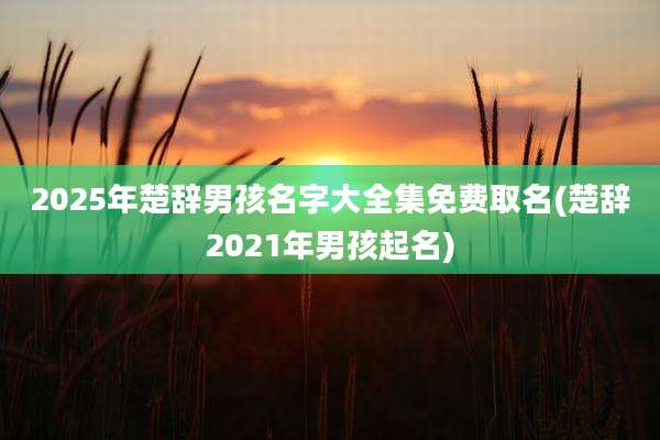 2025年楚辞男孩名字大全集免费取名(楚辞2021年男孩起名)
