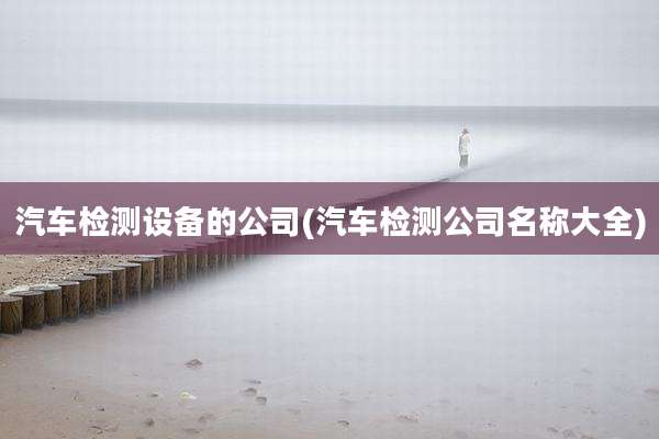 汽车检测设备的公司(汽车检测公司名称大全)