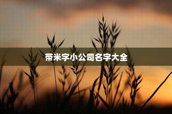 带米字小公司名字大全