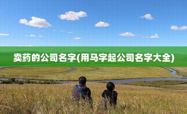卖药的公司名字(用马字起公司名字大全)