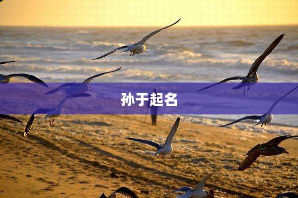孙于起名