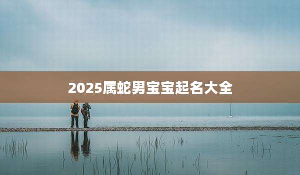 2025属蛇男宝宝起名大全