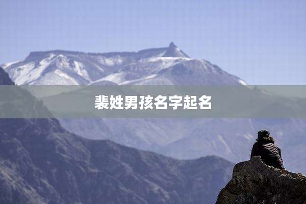 裴姓男孩名字起名