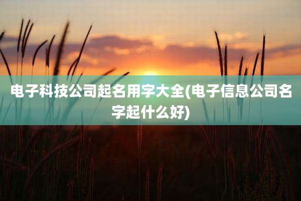 电子科技公司起名用字大全(电子信息公司名字起什么好)