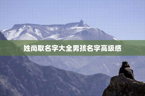 姓尚取名字大全男孩名字高级感