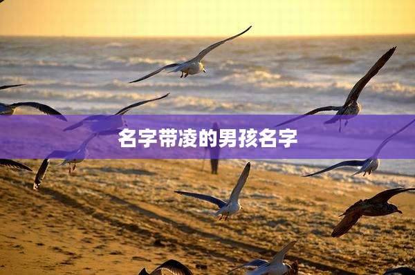 名字带凌的男孩名字