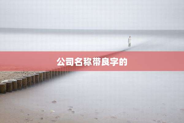 公司名称带良字的