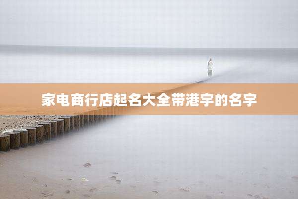 家电商行店起名大全带港字的名字