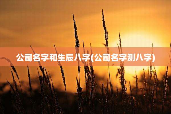 公司名字和生辰八字(公司名字测八字)