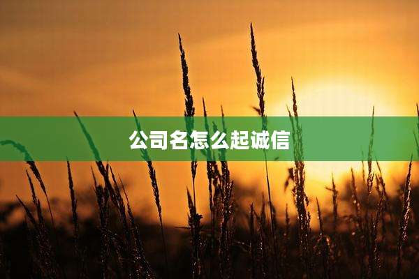 公司名怎么起诚信