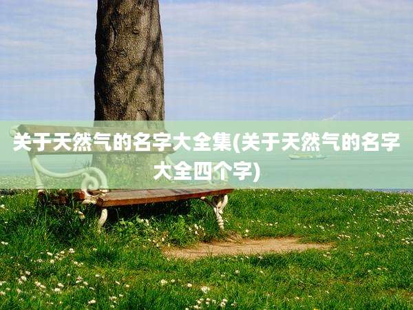 关于天然气的名字大全集(关于天然气的名字大全四个字)