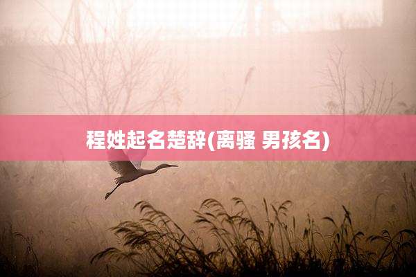 程姓起名楚辞(离骚 男孩名)