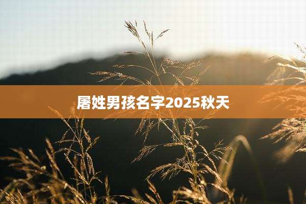 屠姓男孩名字2025秋天