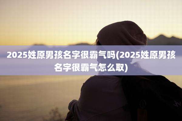 2025姓原男孩名字很霸气吗(2025姓原男孩名字很霸气怎么取)