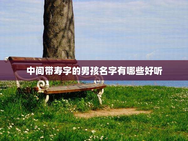 中间带寿字的男孩名字有哪些好听