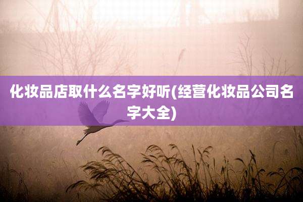 化妆品店取什么名字好听(经营化妆品公司名字大全)