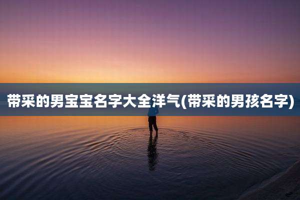 带采的男宝宝名字大全洋气(带采的男孩名字)