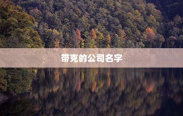 带克的公司名字