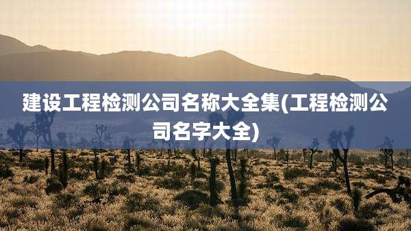 建设工程检测公司名称大全集(工程检测公司名字大全)