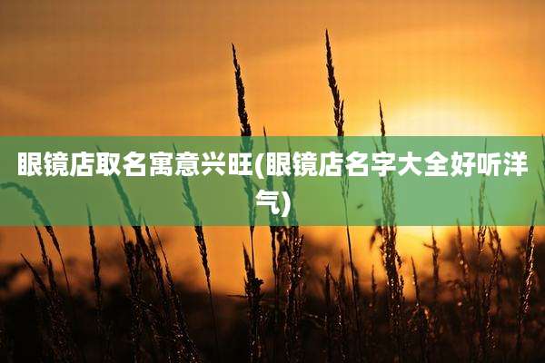 眼镜店取名寓意兴旺(眼镜店名字大全好听洋气)