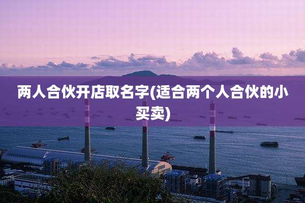 两人合伙开店取名字(适合两个人合伙的小买卖)