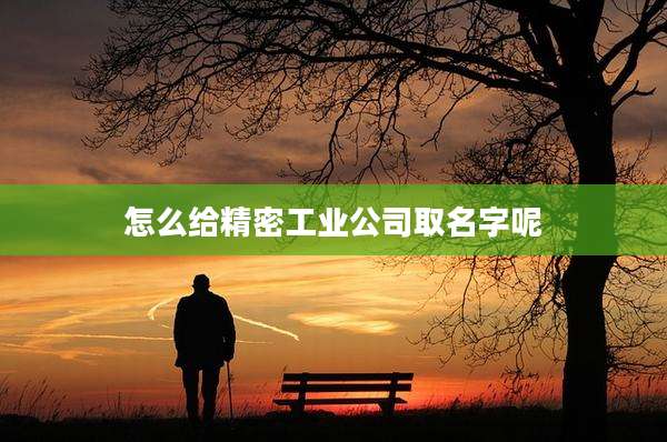 怎么给精密工业公司取名字呢