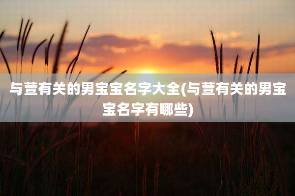 与萱有关的男宝宝名字大全(与萱有关的男宝宝名字有哪些)